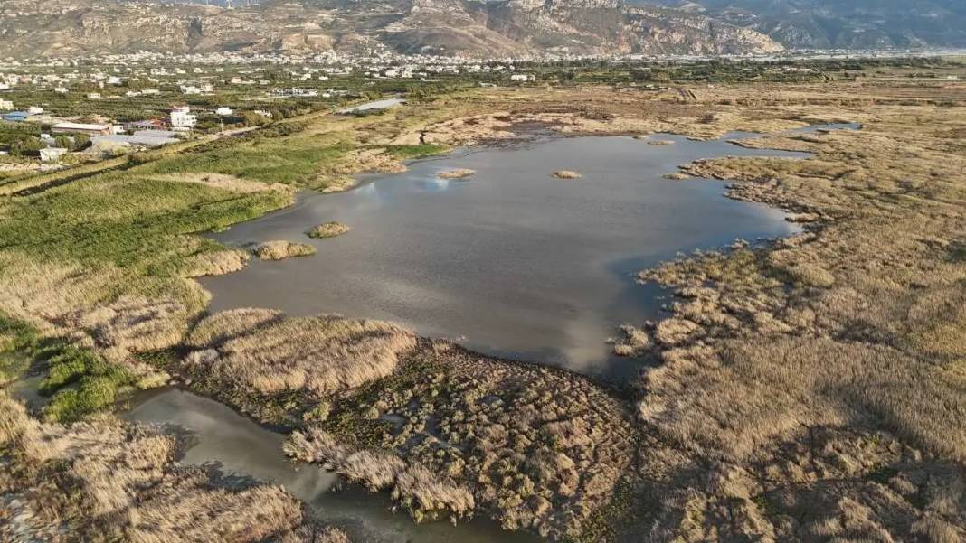 Yağmurlarla Milleyha Kuş Cenneti’nde Hayat Yeniden Başladı 1